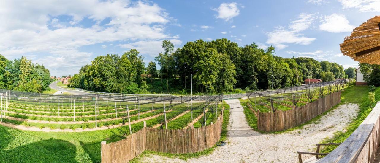 Apartma Zemljanka Ljutomer Kültér fotó